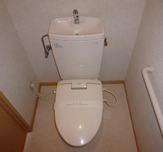カーサフォルトオアサのトイレ