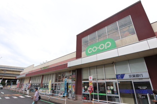 コープ 東寺山店まで250ｍ