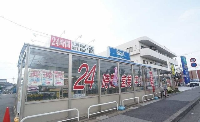 サンライト・ヒルズＡの周辺|ビッグエーまで750m
