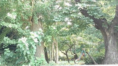 西５丁目アパートの周辺|八幡公園まで240m