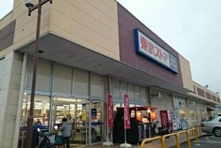 アクアパレスの周辺|東武ストアーまで1000m