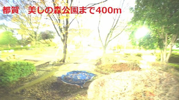 クロスロード　プラス　Ｙの周辺|美しの森公園まで400m