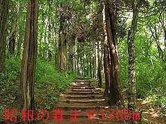 カモミールの周辺|昭和の森公園まで1700m