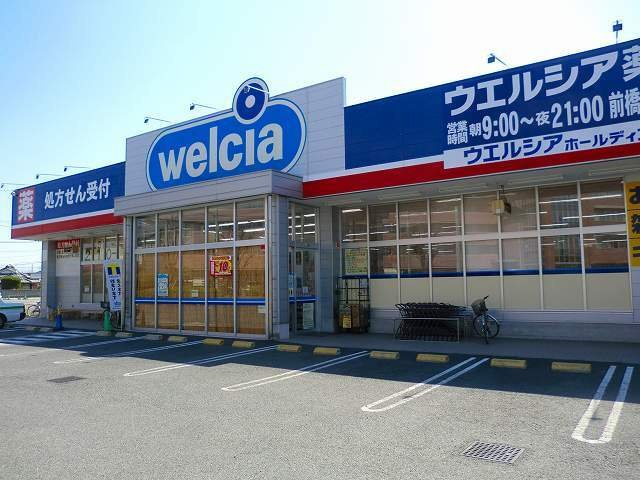 ルミネージュの周辺|ウエルシア前橋上新田店まで650m