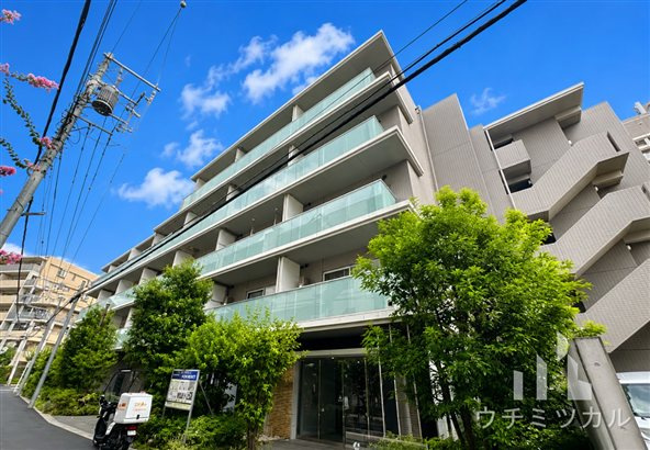 HY's Vigor 墨田