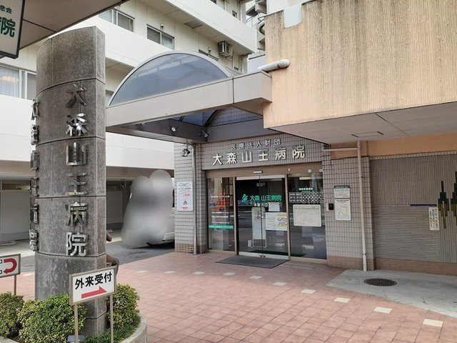 ロワモンターニュの周辺|大森山王病院まで337m
