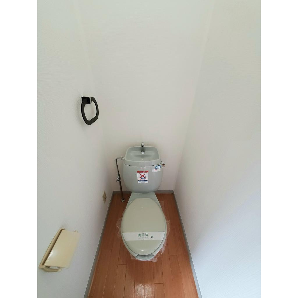 ハイツカトレア　Dのトイレ|トイレです