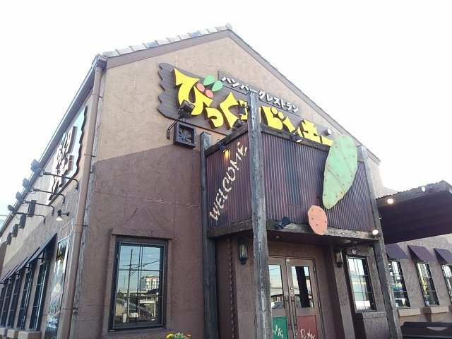 【周辺】 | オネスティ | びっくりドンキー小山店まで600m