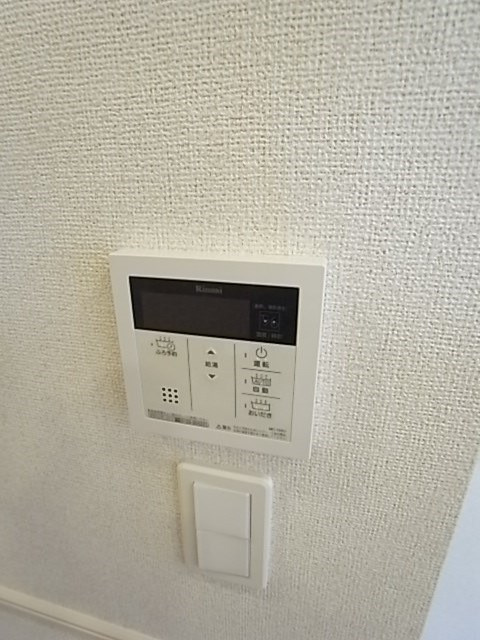 カーサカメリアのその他