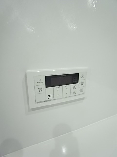 カーサカメリアのその他