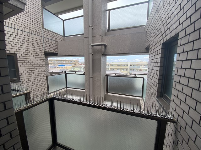 ドルチェ甲子園