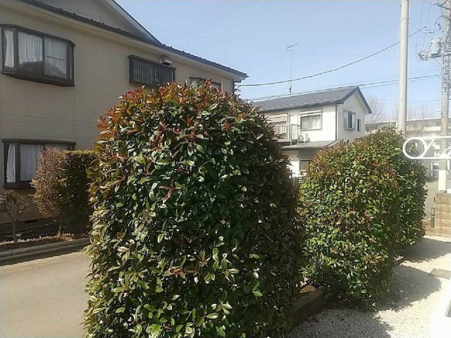 レオパレスクラージュのその他