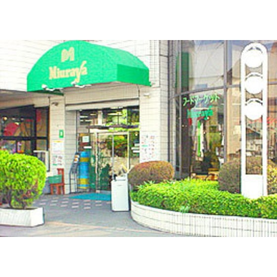 セードルＭの周辺|スーパー「三浦屋松庵店まで540ｍ」
