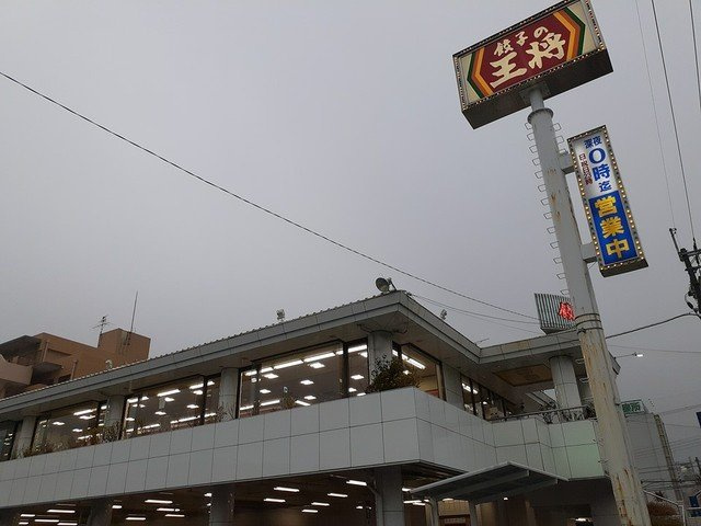 カーサ・オストロの周辺|餃子の王将様まで384m