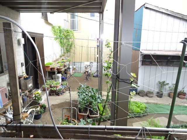 S・コートの展望