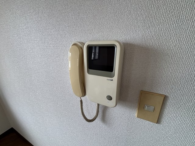 トライヴァーレのセキュリティ