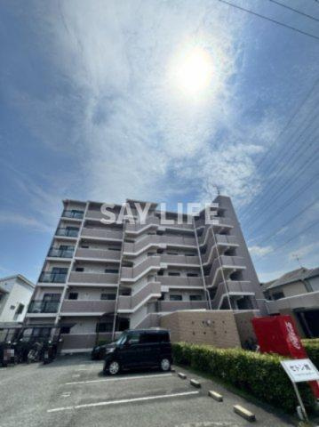 セトン旭