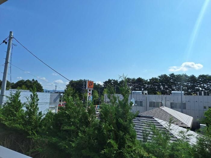 フォルグランツⅡの展望