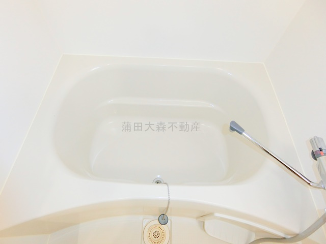 ブライズ多摩川の浴室