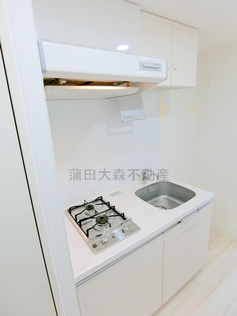 ブライズ多摩川のその他|2口ガスシステムキッチン　