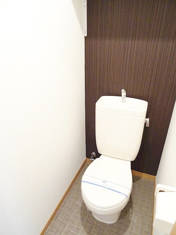 コンフォート ハナブサのトイレ