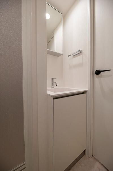 ＣＯＣＯＣＵＢＥ南大塚の洗面所