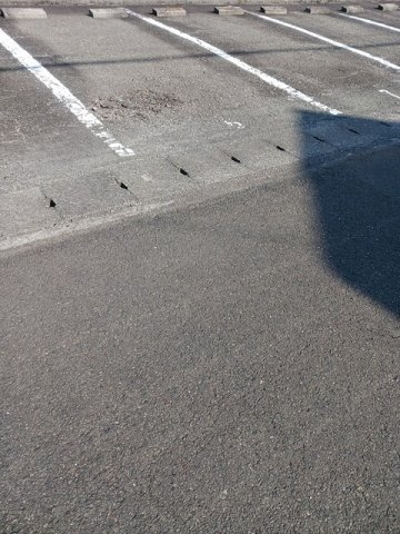 【駐車場】 | エルディムおおすみＡ