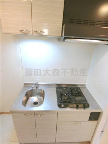 蒲田駅人気分譲賃貸マンションのキッチン|2口ガスシステムキッチン　