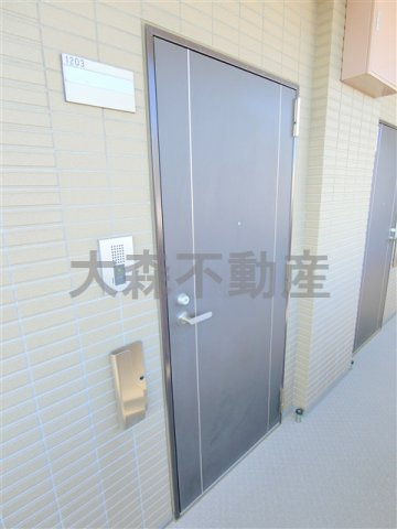 菱和パレス大森の玄関
