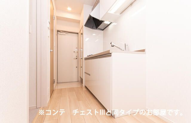 ヒカルサ川口里のキッチン