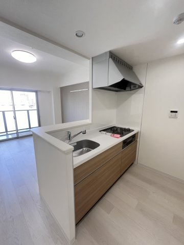 大阪市城東区成育２丁目の賃貸マンションのキッチン