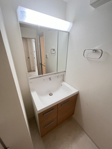 大阪市城東区成育２丁目の賃貸マンションの独立洗面台