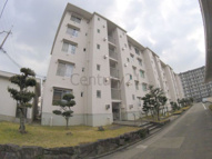 光明住宅2号棟の画像