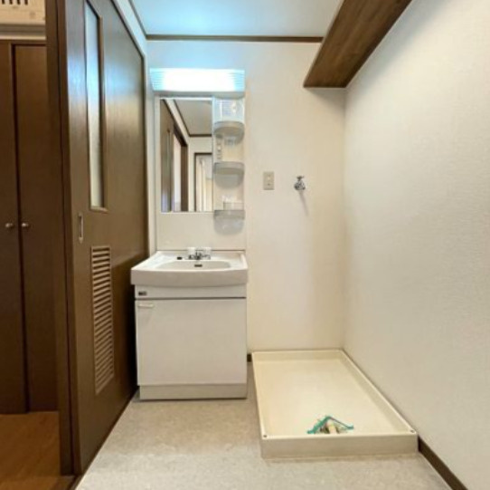 熊本市中央区帯山７丁目の賃貸マンションの洗面所|洗面所です
