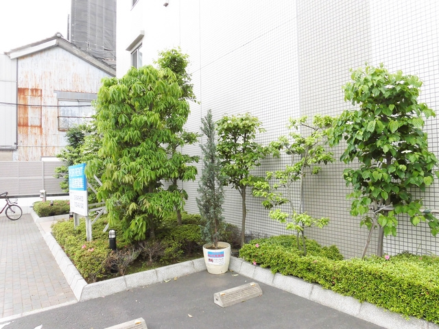 プルス上十条のその他|敷地内植栽☆
