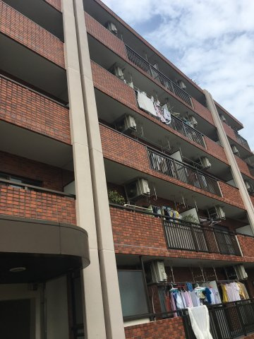 ドエルリバーサイド大島の外観