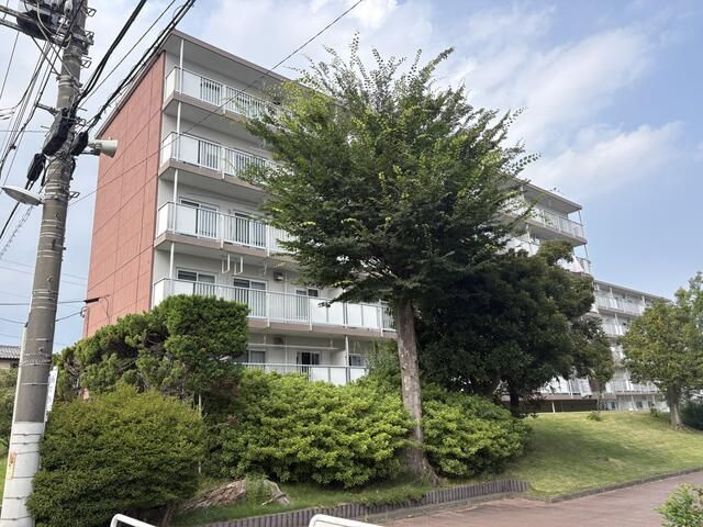 東高森団地１０号棟の外観