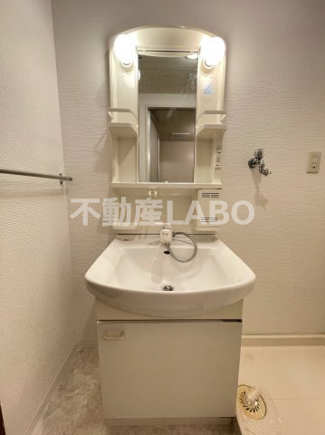 プロニティ江川の洗面所