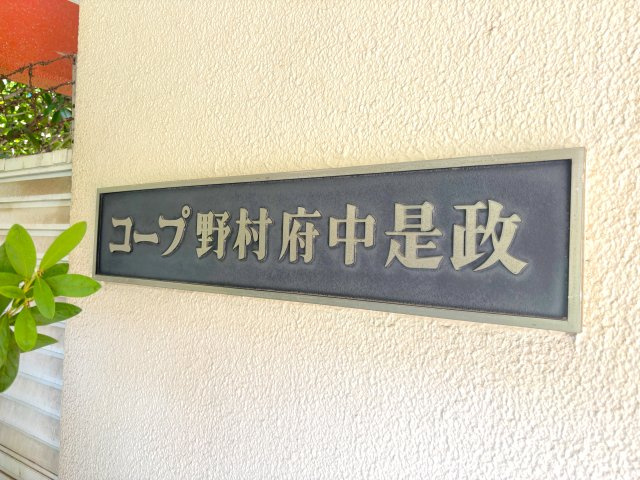 【その他】