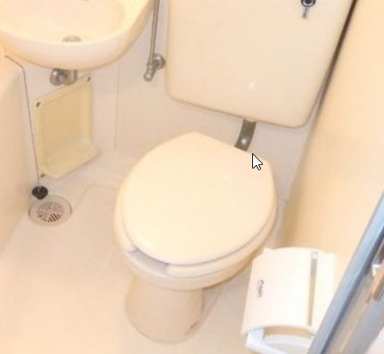 ローズアパート(Q-054C)のトイレ