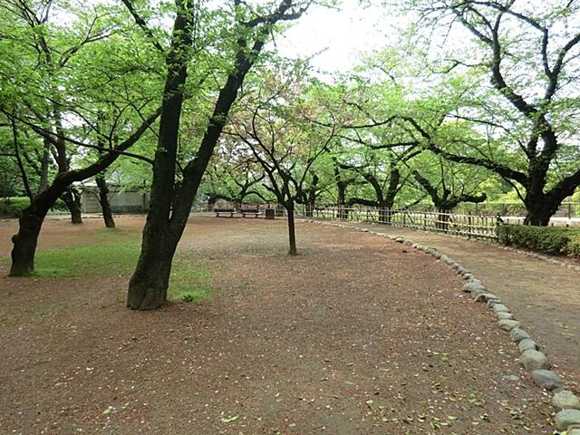 哲学堂公園まで450m