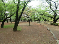 哲学堂公園まで450m