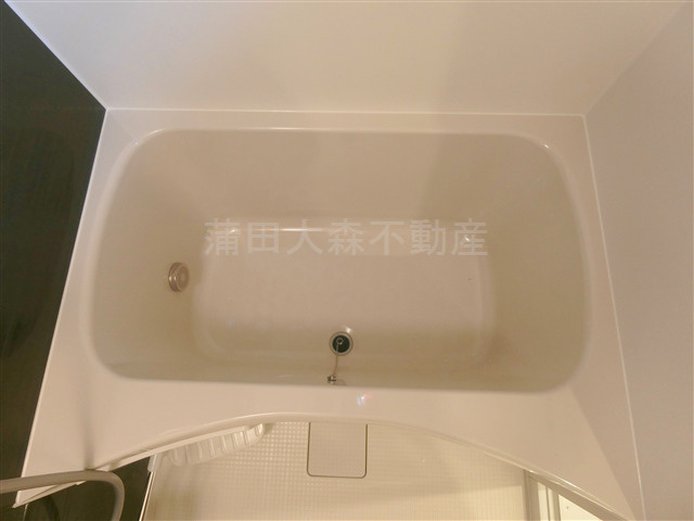 アピチェ池上の浴室