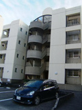 フルータの画像