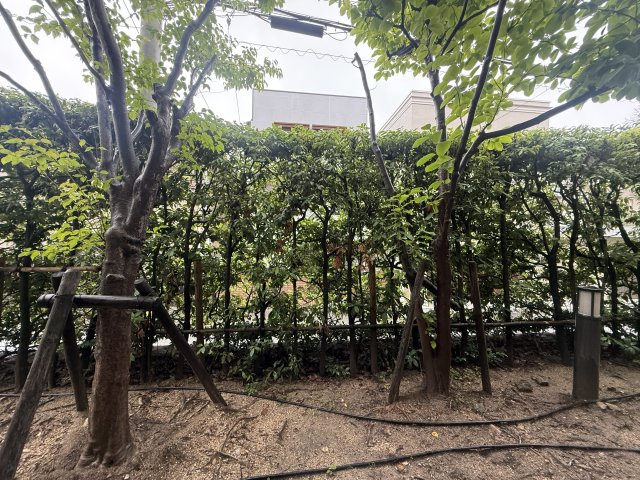 【展望】芦屋ソルステージュ