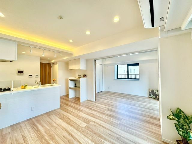 ダイアパレス水道橋（10階部分）／仲介手数料無料／新規フルリノベーション