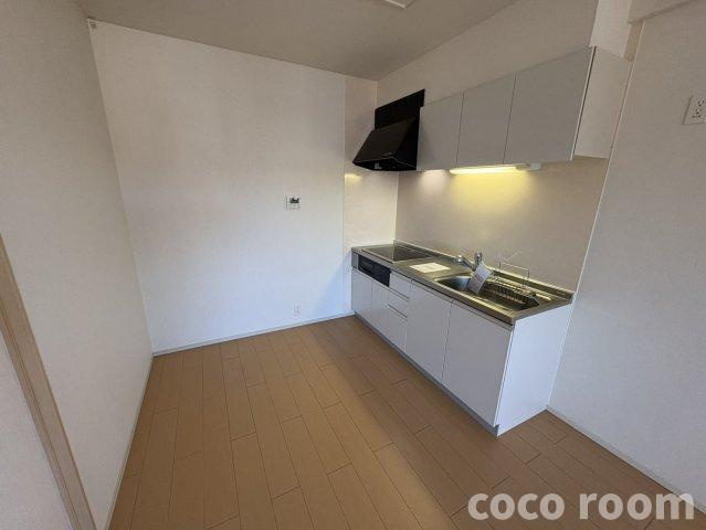 エアリエルＫのその他