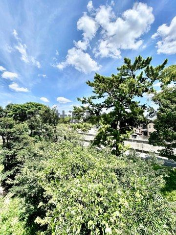 豊中グリーンハイツの展望
