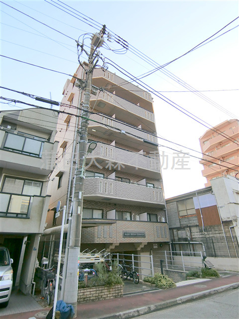 サンテミリオン千鳥町の外観