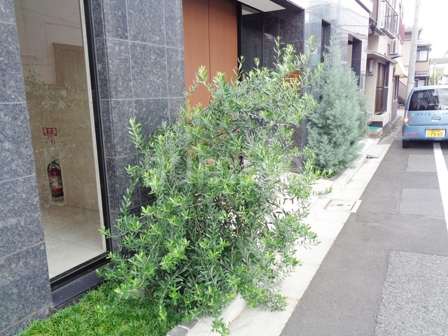 HERMITAGE　DE　MAISONのその他|植栽です♪